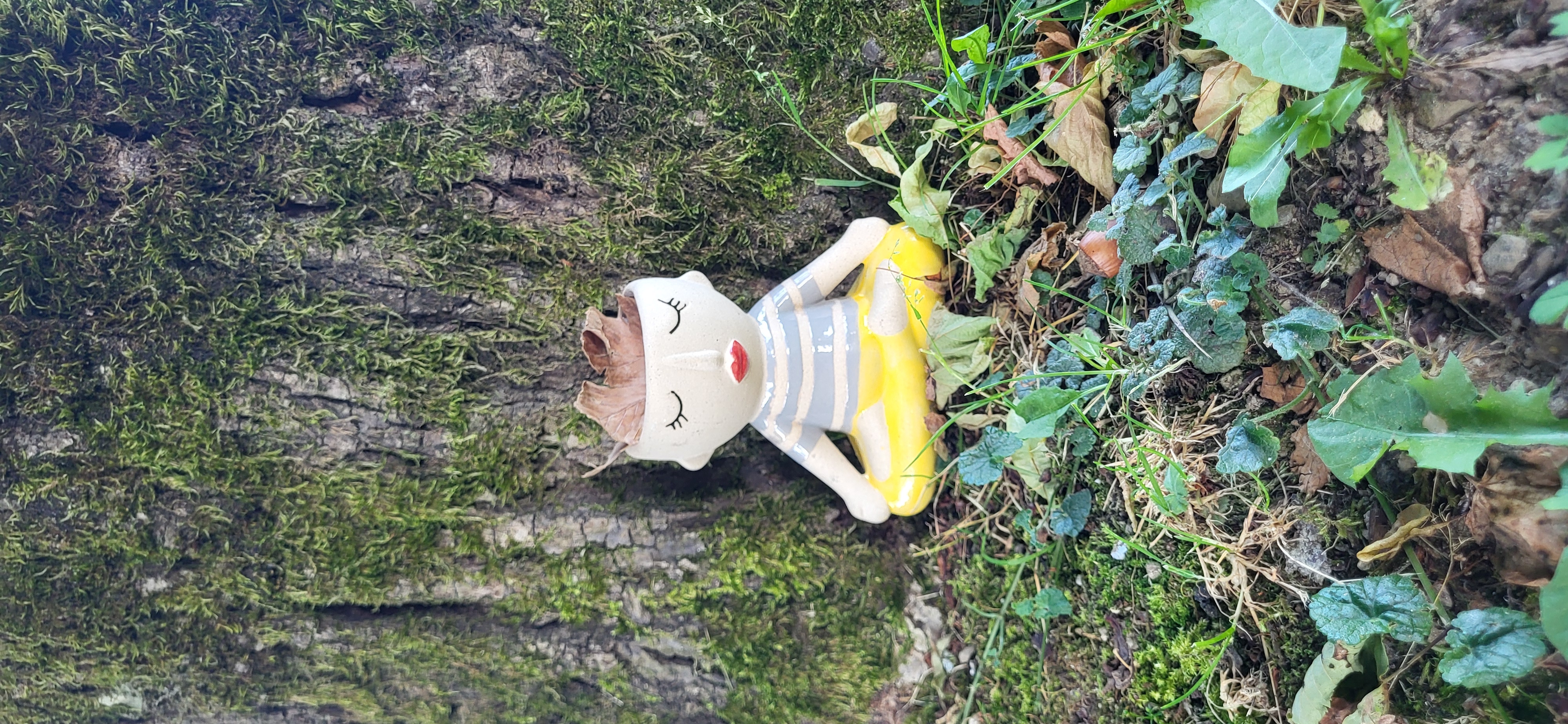 Ayurvedic consultation