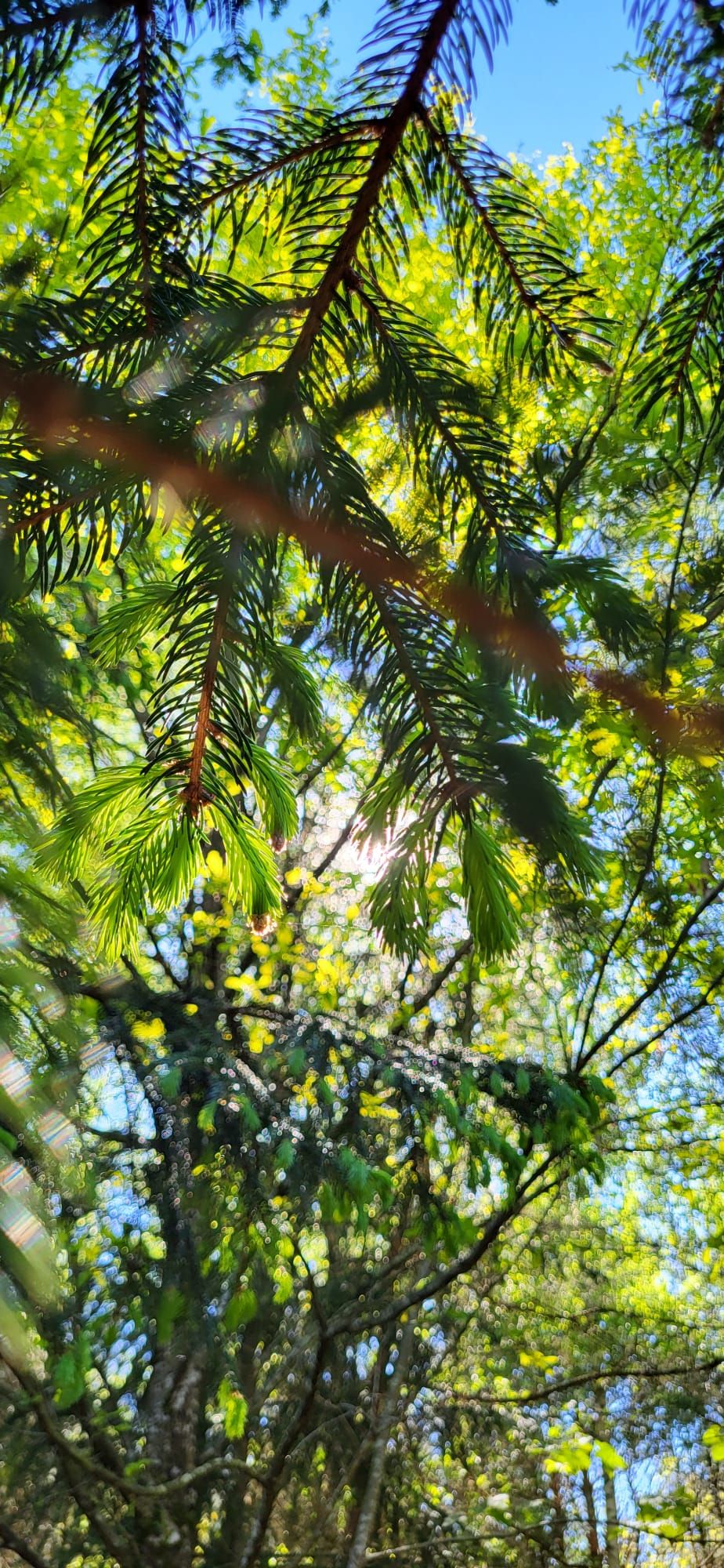 Corporate Mindfulness